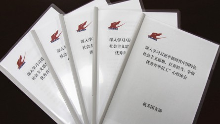 交通監(jiān)理公司團(tuán)委深入開(kāi)展學(xué)習(xí)新思想，爭(zhēng)做扛責(zé)擔(dān)當(dāng)優(yōu)秀青年員工活動(dòng)