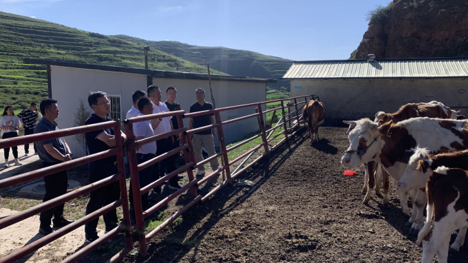 甘肅工程咨詢集團(tuán)黨委書記、董事長宋忠慶一行赴卓尼縣柳林鎮(zhèn)幫扶村調(diào)研慰問